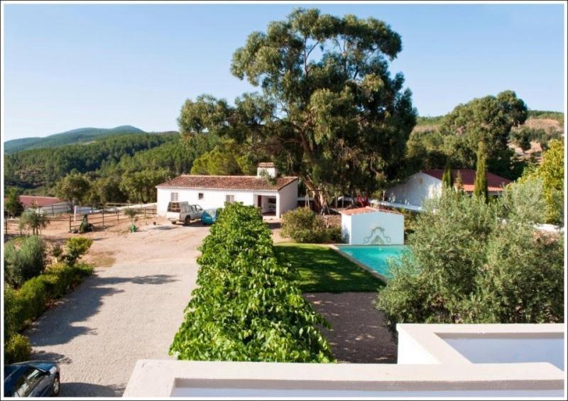 Casa D'Alegrete Bed & Breakfast Bagian luar foto